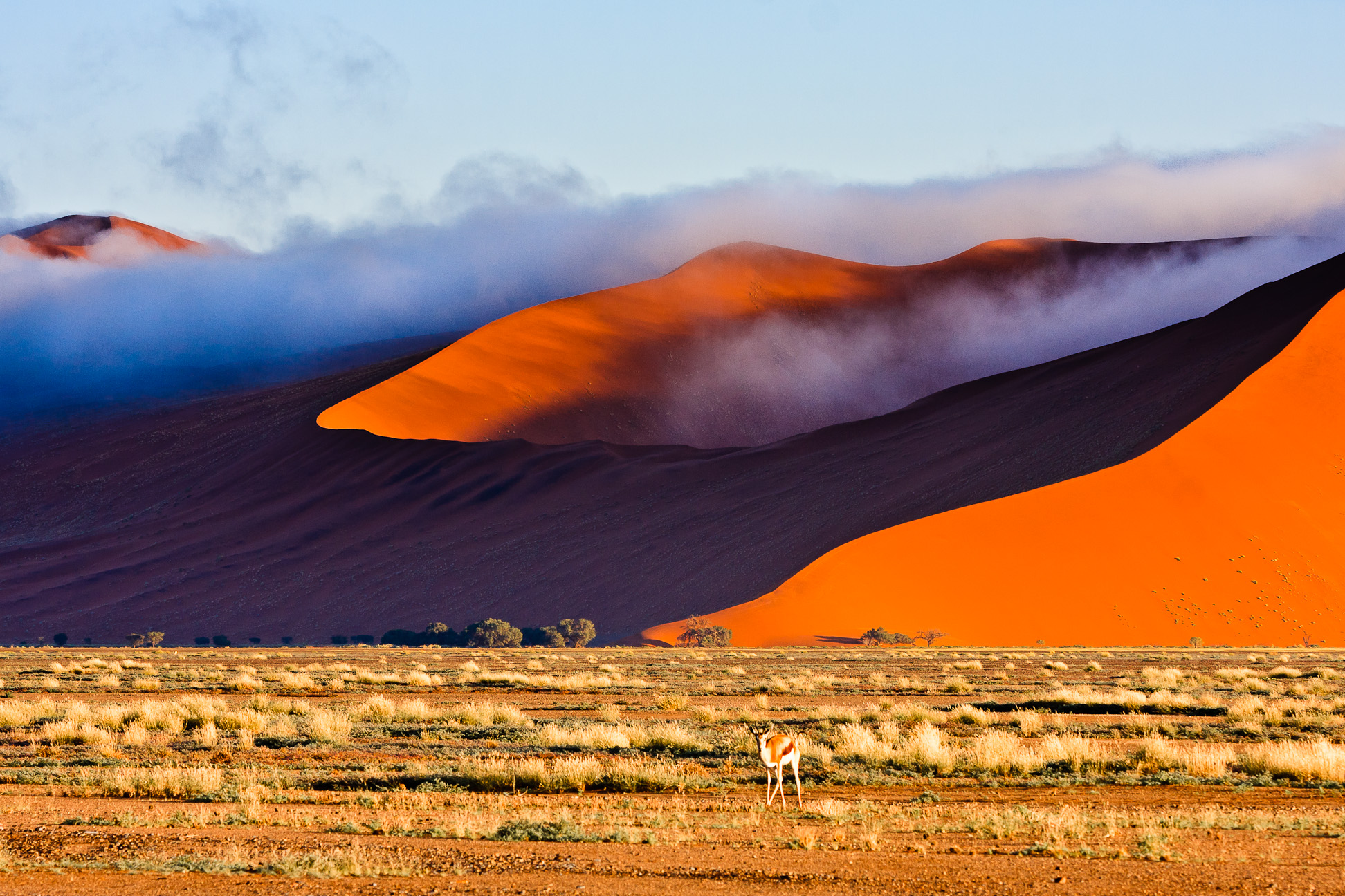 Самая сухая пустыня в африке. Пустыня Намиб климат. Намибия пустыня Намиб. Намиб пустыня Туманов. Намиб пустыни Африки.