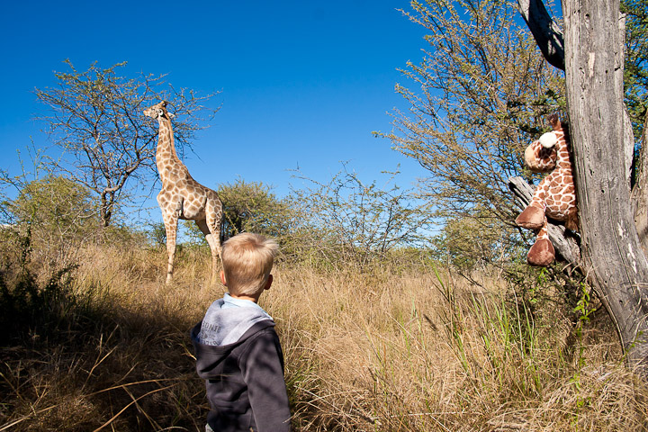 Windhoek Game Camp, Sohnemann, Susi und Giraffe